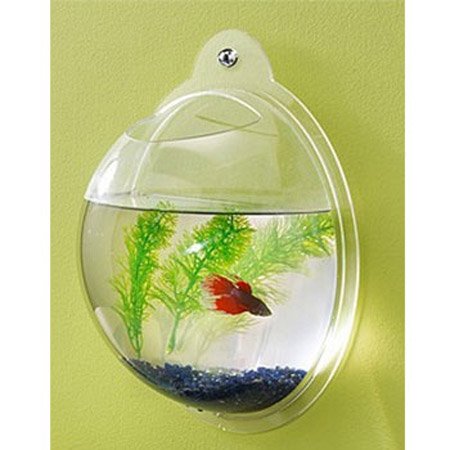 fishbowl