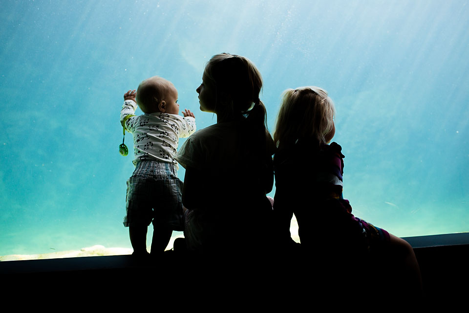 barnenvidakvarium